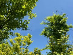 -盐城丹顶鹤湿地生态旅游区