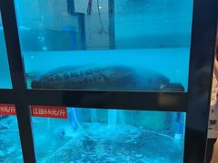 -万和源炝锅城·活鱼现炝(文艺北路店)