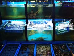 -老东镇啤酒屋海鲜加工·蒸汽海鲜·海鲜烧烤(台东店)