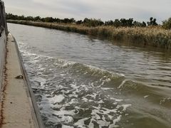-南大港湿地风景区