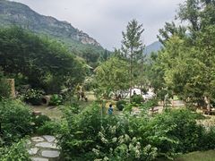-幽岚山·童话森林