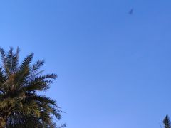 -黄金海岸水上乐园