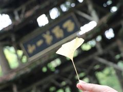 -青城山
