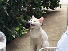 -Magnet磁食(愚园路店)