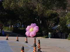 -杭州少年儿童公园