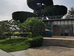 -芒洲湿地公园
