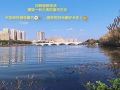 -眉山湿地公园(东坡区)