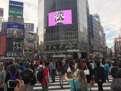 -竹叶亭(银座店)