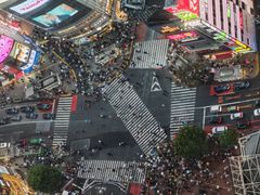 -涩谷区