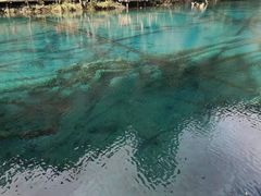 -叠溪松坪沟景区