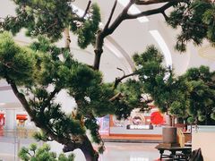 -绿茶餐厅(南昌王府井店)