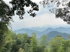-莫干山风景区