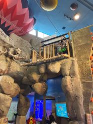 -卡通尼·Safari非洲探索乐园·生日会(金桥国际商业广场店)