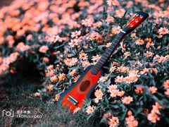 -花博汇(知音花月夜)