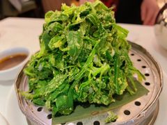 面条菜-金春禧(世茂国际广场店)