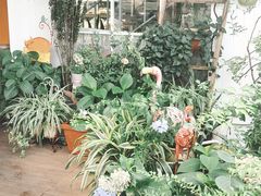 -Jo's Garden