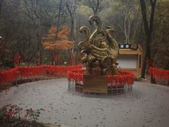 -吉林市朱雀山国家森林公园