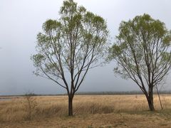 -野鸭湖国家湿地公园