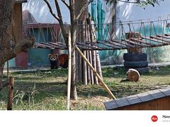 -泉州海丝野生动物世界