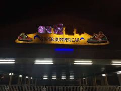 -锦江乐园舞狸花花游园会(夜场专享)