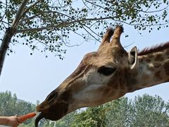 -大连森林动物园