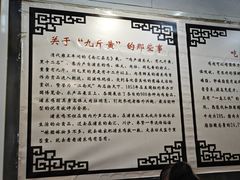 -九斤黄三黄鸡专卖店