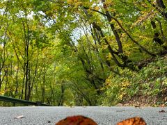 -三块石国家森林公园