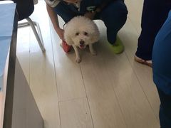 -喜多萌中农锦绣动物医院24H·猫科·牙科MRI·CT