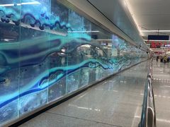 -螃蟹岬(地铁站)