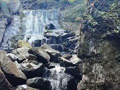 -藏龙百瀑风景区