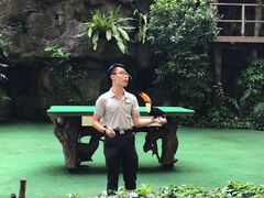 -新加坡飞禽公园