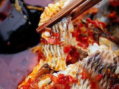 风鑫铃罗非鱼-风鑫铃罗非鱼(道沟店)