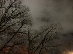 -北海道厅旧本厅舍(旧本庁舎)