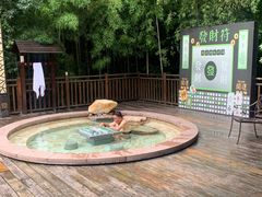 -天目湖涵田度假村