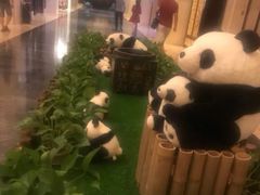 -成都保利公园皇冠假日酒店(熊猫基地店)