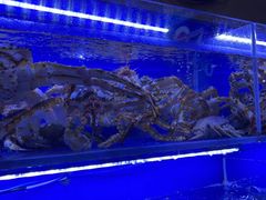 水产区-鹊华居·地道鲁菜·海鲜·融合味(大明湖店)