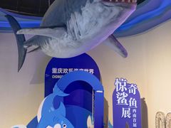 -重庆欢乐海底世界