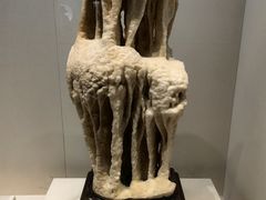 -安徽省地质博物馆