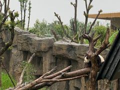 -宁波野生动物园