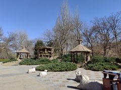 -元大都城垣遗址公园