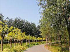 -东郊湿地公园