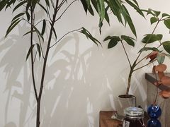 -肥朵食堂(带梦胡同店)