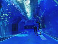 -波塞冬旅游度假区