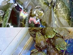 -活鱼馆(宜兴埠店)