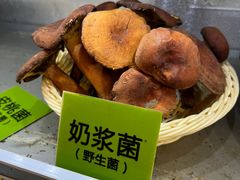 -菌海森林·非遗野生菌火锅(西山区滇池路摩根道店)