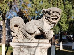 -昆明动物园