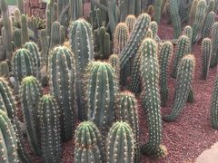 -南通洲际绿博园