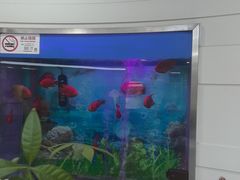 -雅悦齿科(顾村公园店)