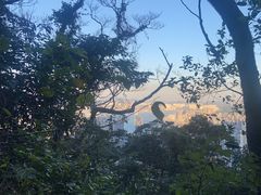 -太平山顶