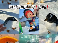 -沈阳奥林匹克体育中心